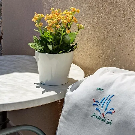 Otel Skradinski Buk Skradin